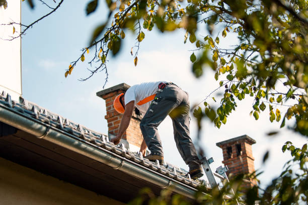 Best Commercial Roofing Services  in Albion, IN